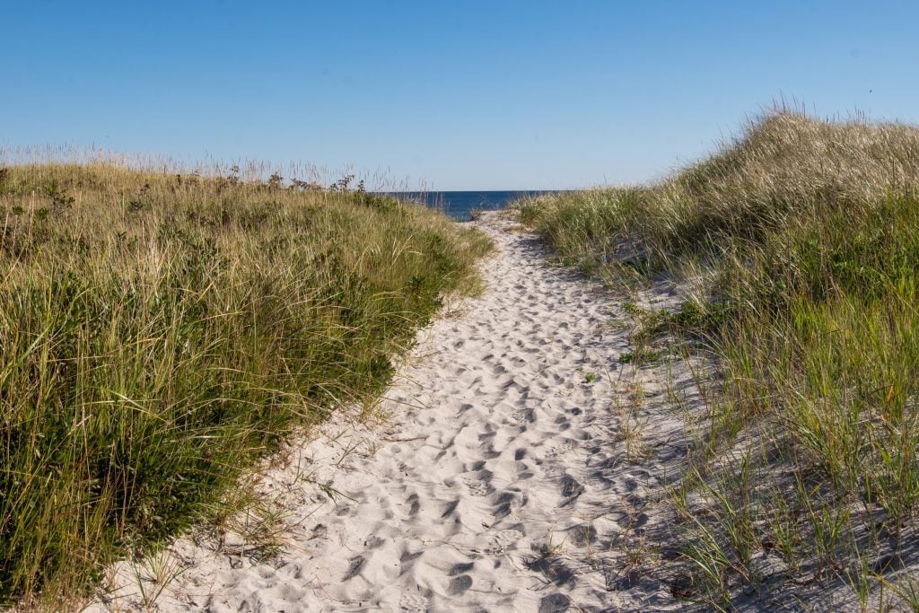A sandy path between two grassy dunes leading to the ocean.