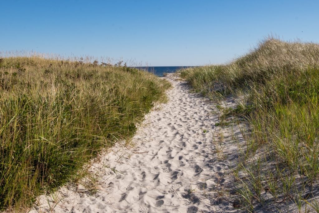 A sandy path between two grassy dunes leading to the ocean.