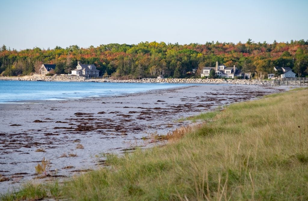 A beach area covered with seaweed, several beach cottages and green trees beginning to turn red.