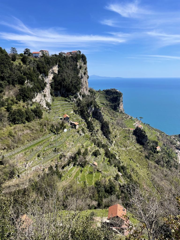 A green craggy cliff of the Amalfi Coast overlooking the bright blue ocean. You can see small farmhouses and wine terraces carved into the hillside.