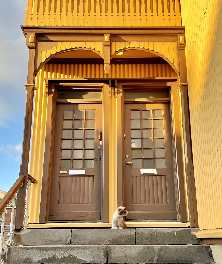 A yellow house with two brown doorways side by side. Between them sits a rag doll cat, cream-colored with a dark face, standing like she owns the neighborhood.
