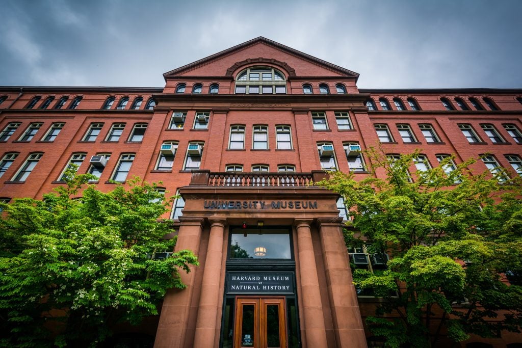 A red brick building with columns in front reading University Museum and Harvard Museum of Natural History.