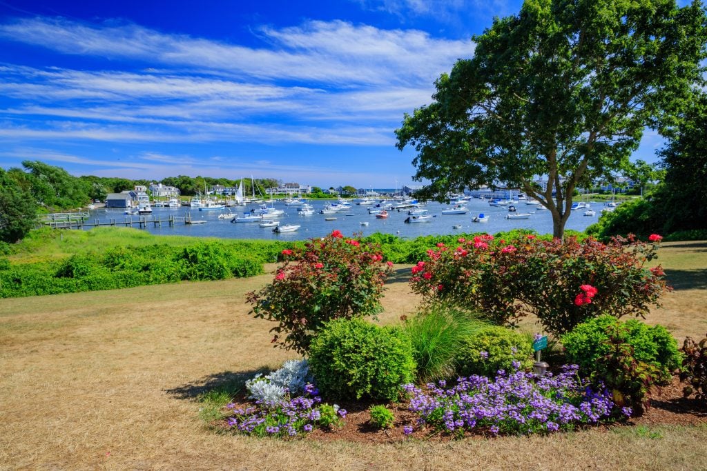 A beautiful garden filled with flowers next to a bay filled with small white boats.