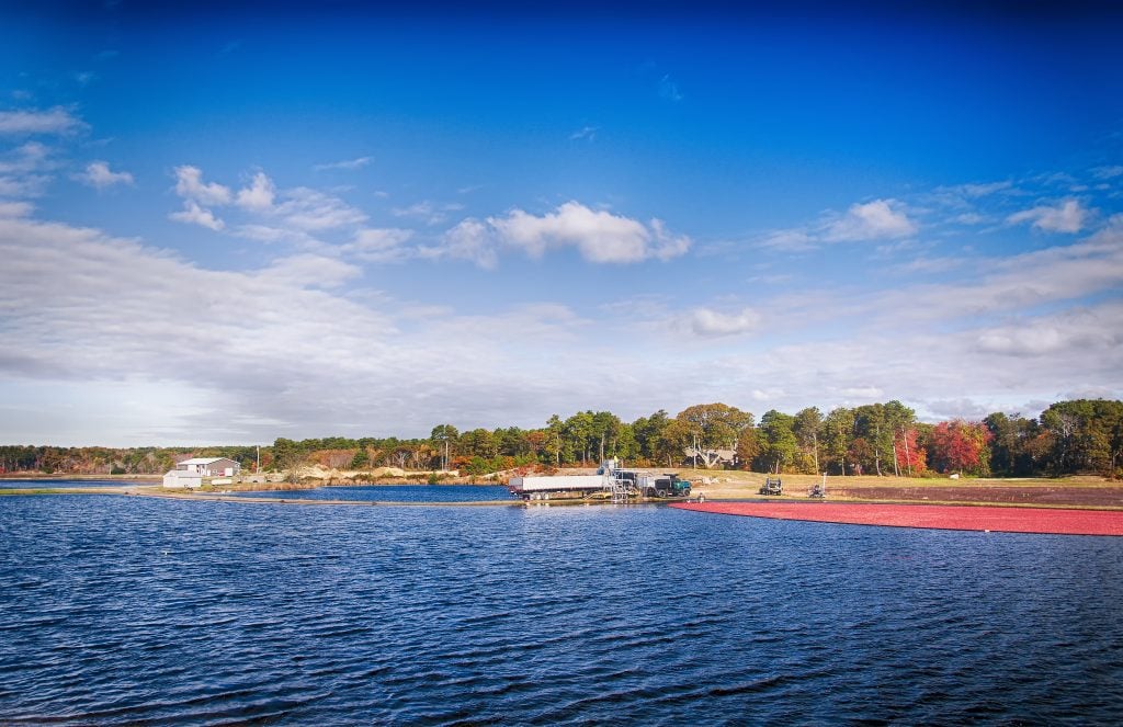 It looks like an ocean beach, but you can see one quadrant is solid red because it's covered with cranberries.