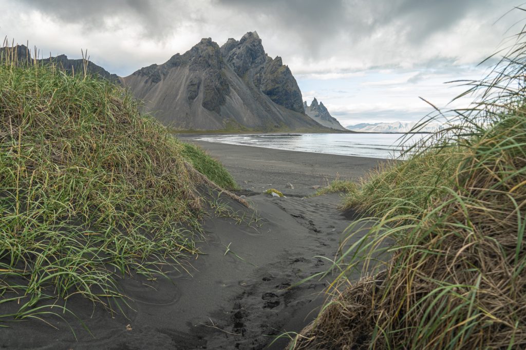 A black sand path carving between grassy dunes, leading to the water.