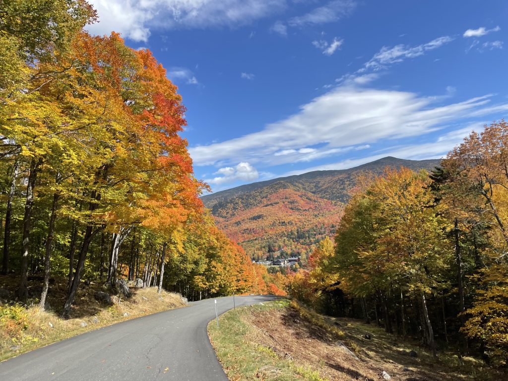 A road heading downhill surrounded by bright orange and yellow trees.