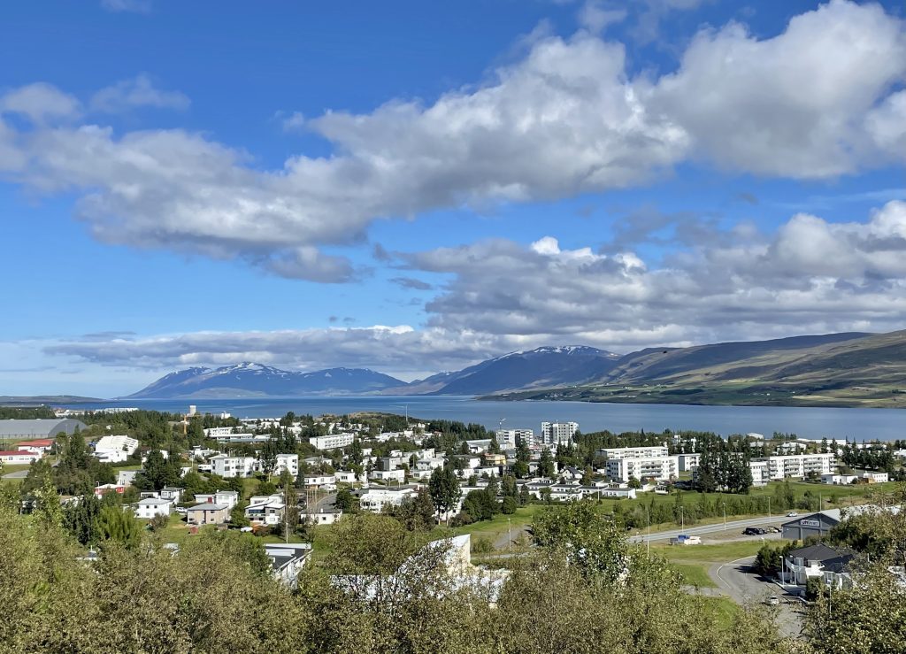 View of a hill with dozens of white houses among the green, leading down to a calm blue fjord.