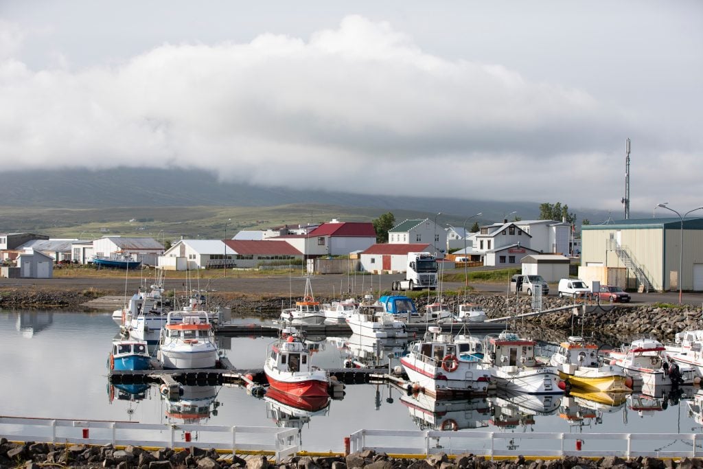 A small harbor with small fishing boats in the water.