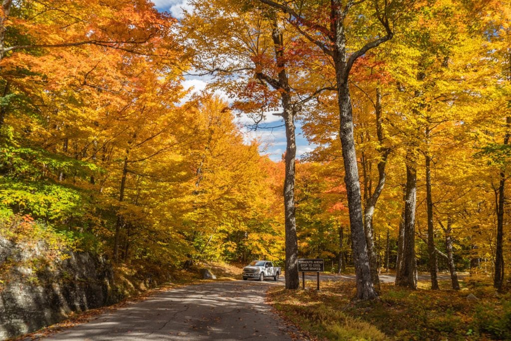 A road through a forest filled with bright red and orange leaves.