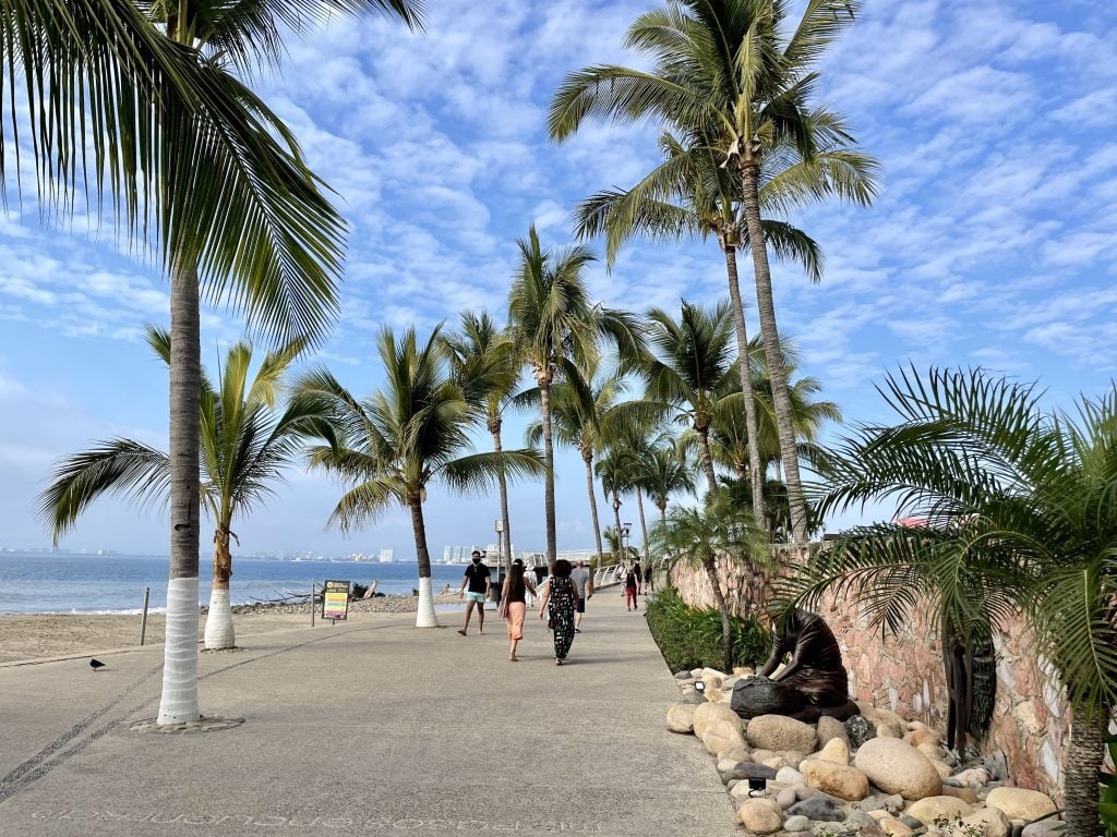 A wide sidewalk lined with palm trees next to a beach.
