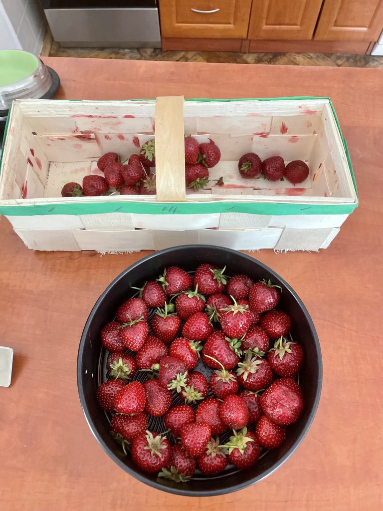 A half-empty basket of strawberries next to a round cake tin filled with tons of red, ripe strawberries.