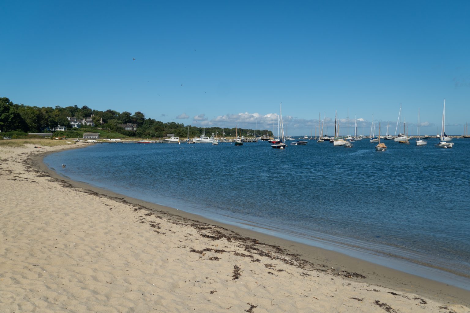 A Visitor's Guide to Vineyard Haven, Massachusetts