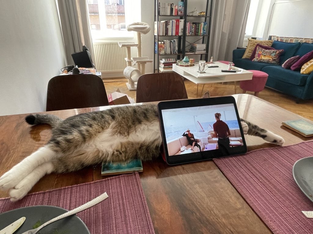 Murray the cat cuddling around the edge of an iPad as Below Deck plays.