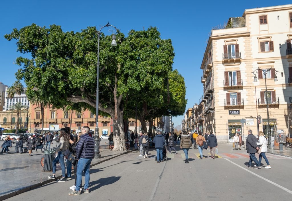 People walking on a pedestrianized street in Palermo, in front of a green tree cut into the shape of a cube.