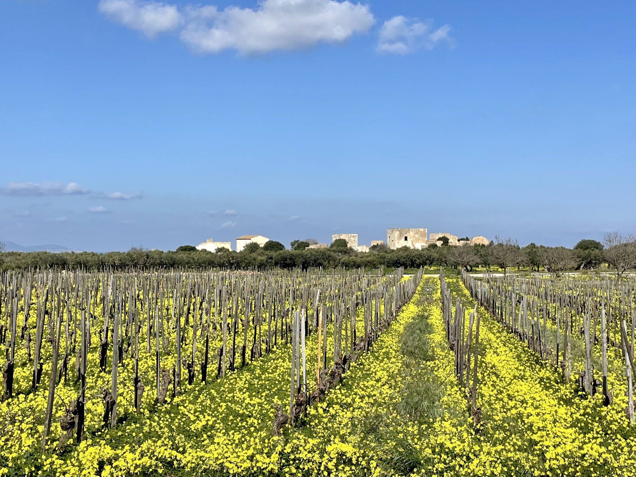 How to Stay at an Agriturismo in Italy Tips from an Expert