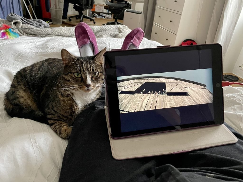 Lewis the gray tabby cat with a white belly and white stripe on his nose, cuddled up next to Kate's leg while she watches Women Talking on an iPad.