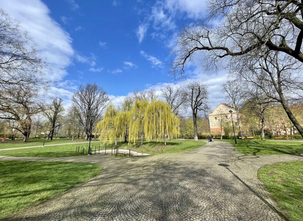 View of a park in Prague with a walking path and a weeping willow underneath a blue sky.
