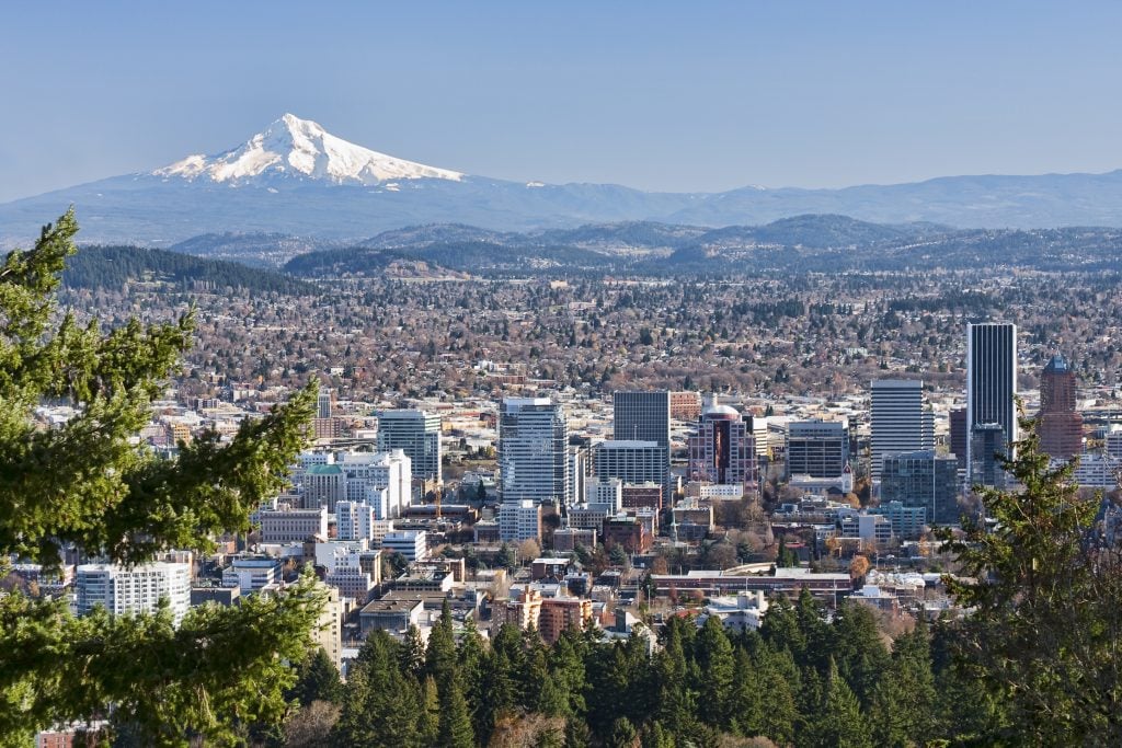 The city skyline of Portland, with skyscrapers poking up, with a big snow-covered mountain in the background.