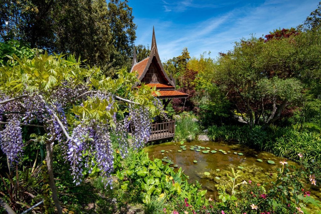 An Asian-style pagoda set on a pond covered with lily pads, surrounded by flowering trees in a botanical garden in Ischia.