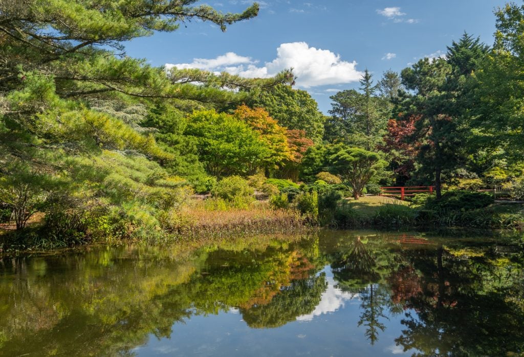 Un jardin entourant un étang réfléchissant et un pont en bois rouge vif dans les jardins japonais de Mytoi.