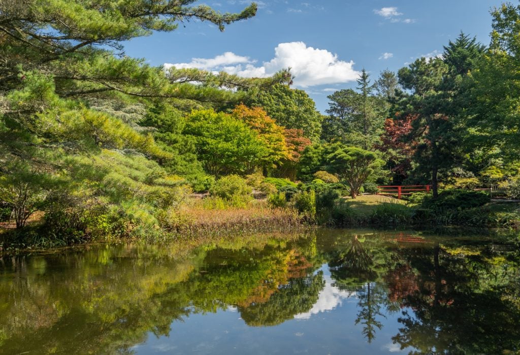 A garden surrounding a reflective pond and a bright red wooden bridge in Mytoi Japanese Gardens.