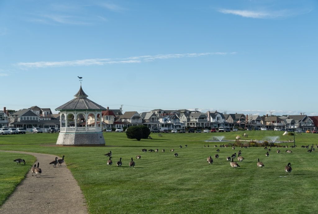 A big green park with a Victorian wooden gazebo and lots of Canadian geese on the grass.