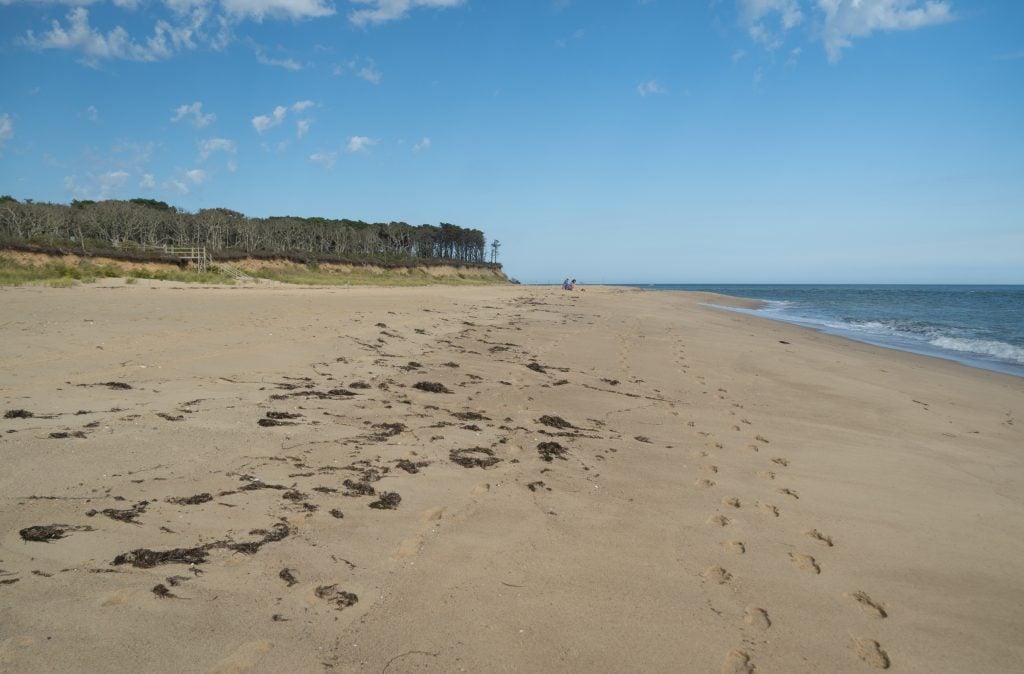 A long, wide sandy beach with lots of footsteps in the sand and forest in the distance.