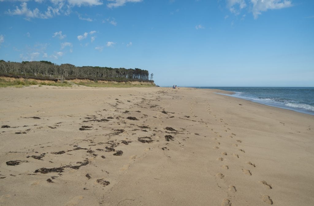 Une longue et large plage de sable avec de nombreux pas dans le sable et une forêt au loin.