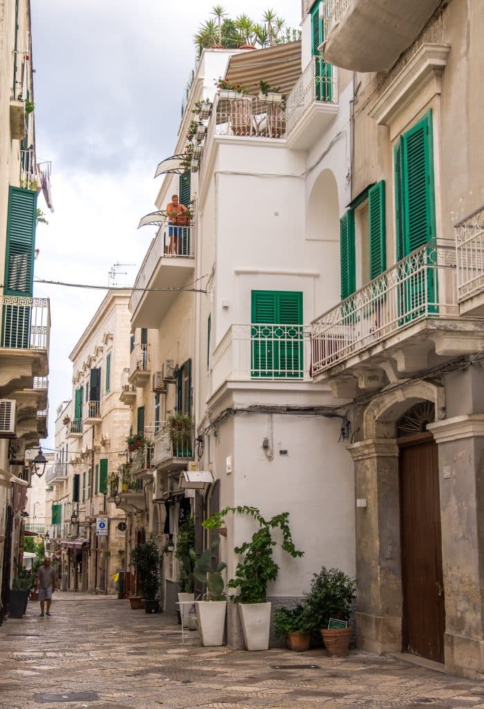 The streets of old town Monopoli, with tall white washed buildings with green shutters, and cacti planted on the ground.