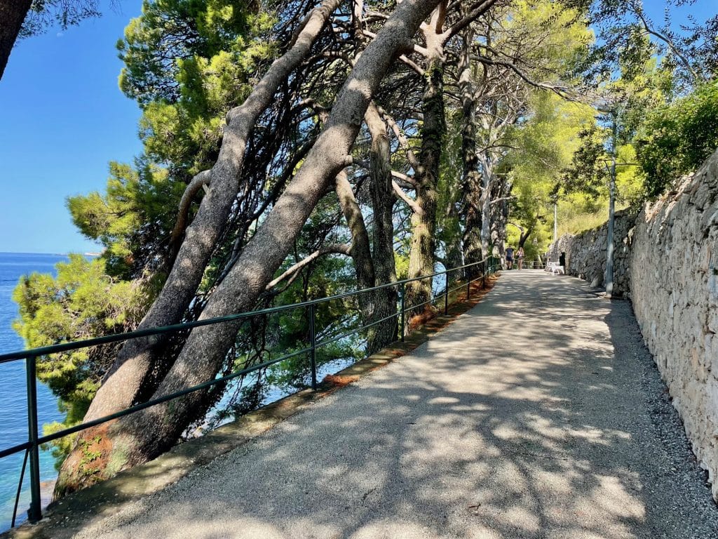 A cement walking path along the sea in Cavtat, trees slanting sideways along the edge.