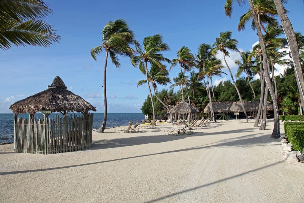 A calm sandy beach with a small beach hut and lots of tall palm trees.