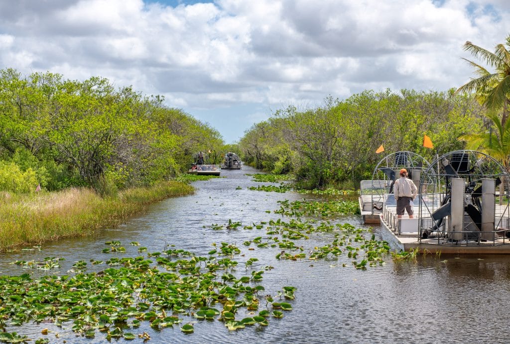 A boat with a fan on its back zooming through the mangroves in the Everglades.