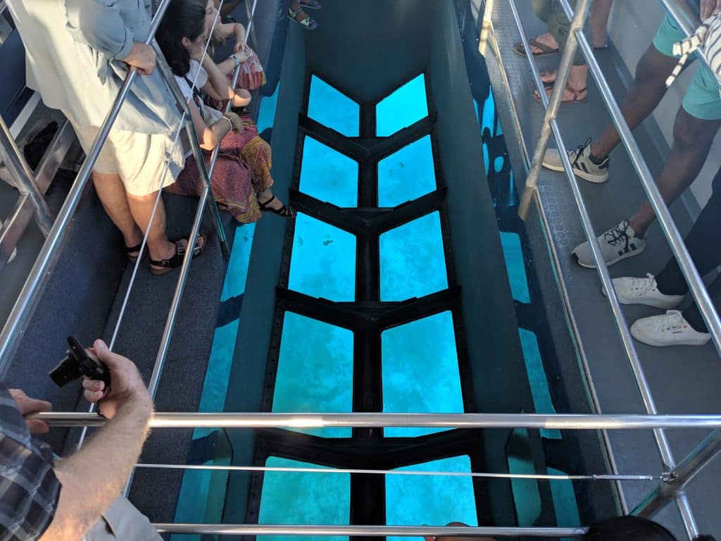 People looking down at the blue underwater scene through glass panels in a glass bottom boat in Florida.
