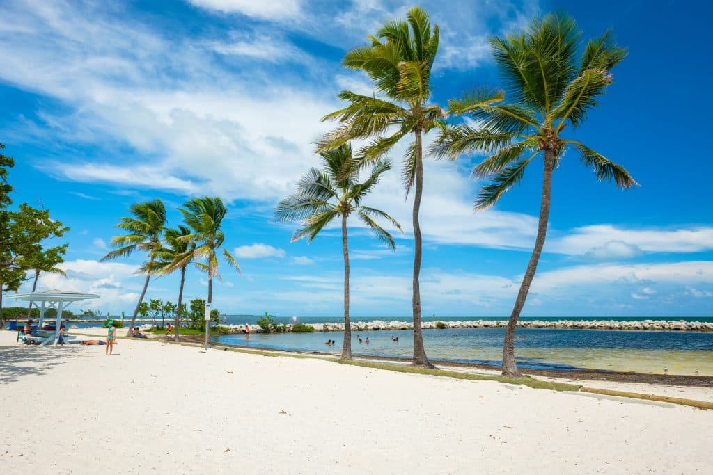 A white sand beach with tall palm trees.