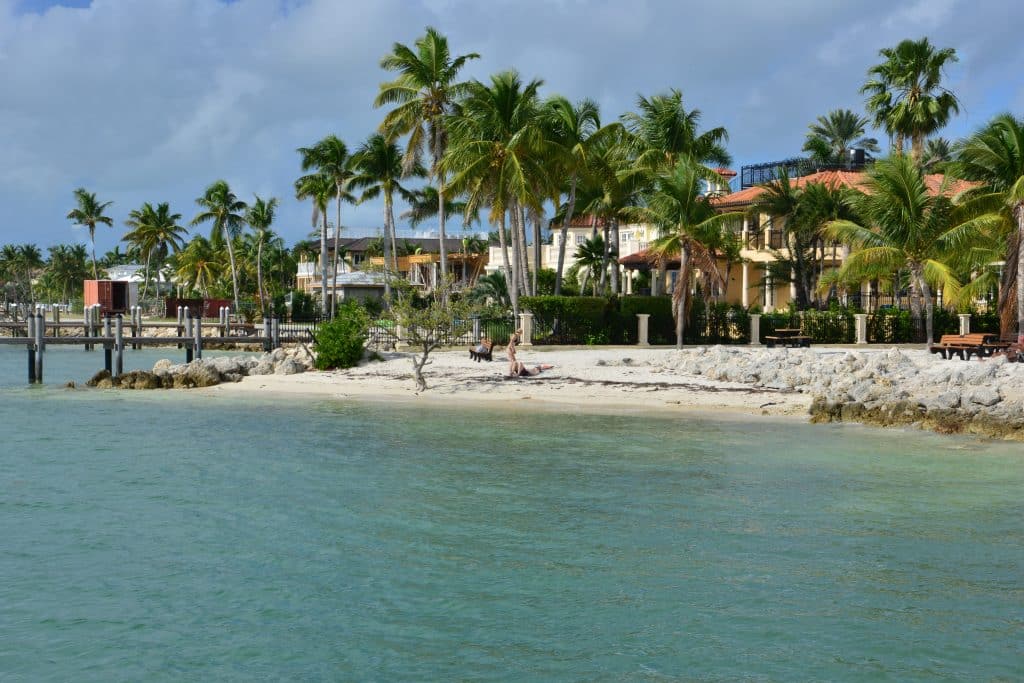 A small sandy beach with lots of palm trees and buildings on shore.