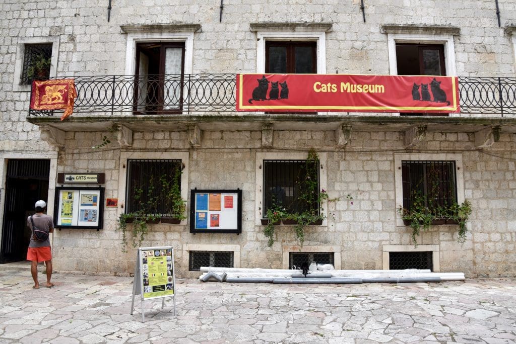 A stone building with an awning reading Cat Museum with several black cats on it.