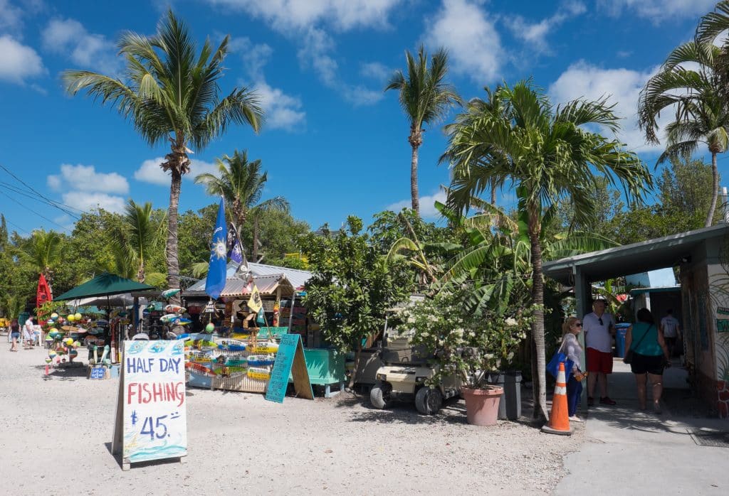 Several scruffy looking outdoor stands in front of palm trees in the Florida Keys. One sign reads "Half day fishing $45."