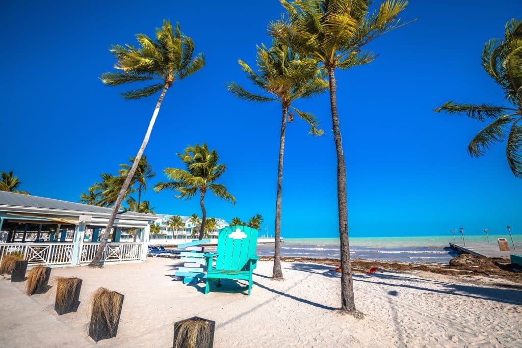 A very small beach with palm trees and a bright green Adirondack chair.