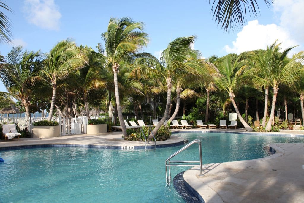 A peaceful swimming pool surrounded by palm trees and deck chairs.