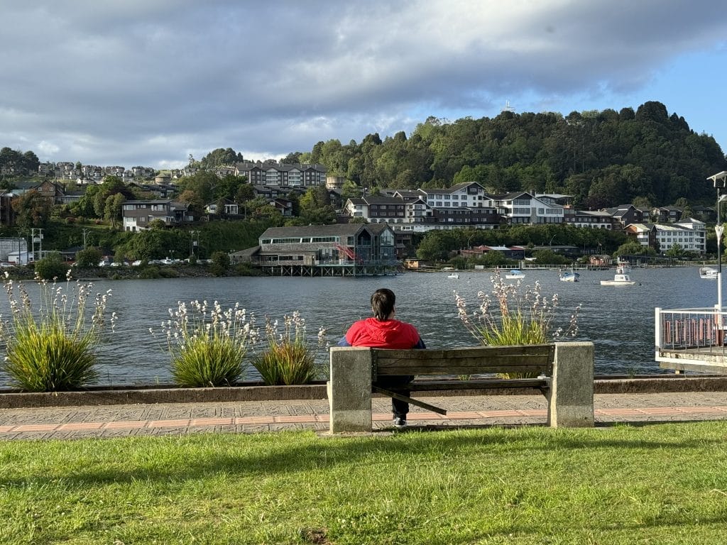 A man sitting on a bench in a park overlooking a lake in Chile.