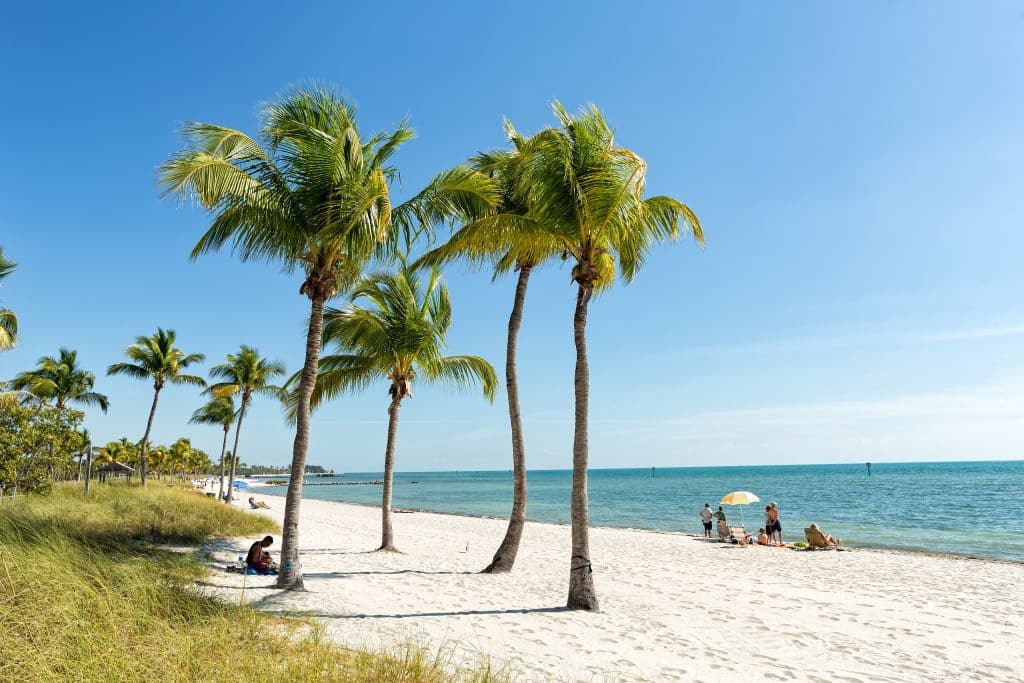 A gorgeous white sand beach with palm trees and a few people sitting beneath umbrellas.