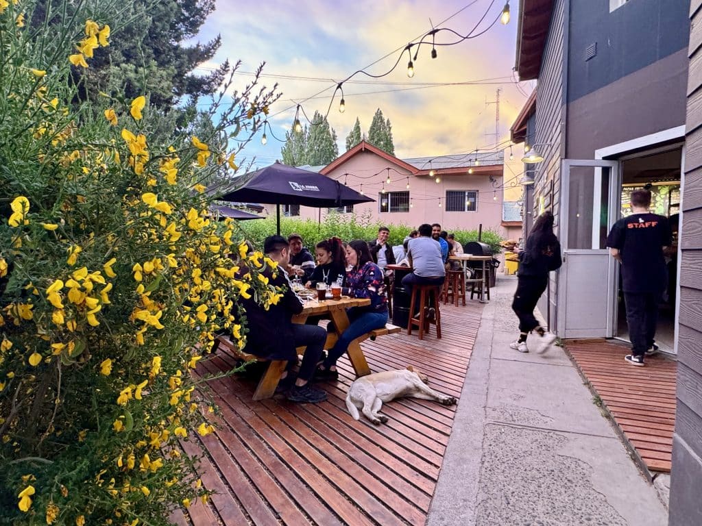 An outdoor patio at a brewery, with lots of people sitting outside, a sunset in the background, and bushes with yellow flowers surrounding the space.