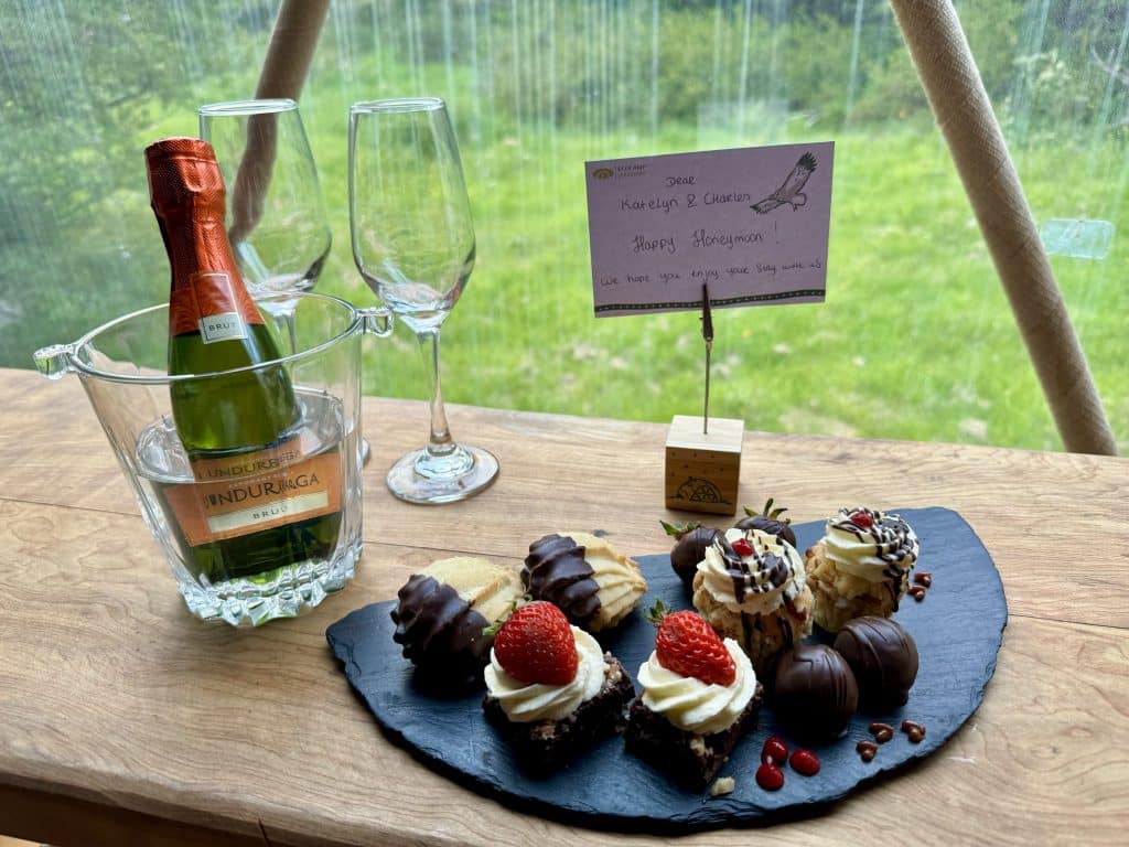 A small bottle of champagne and two glasses next to a platter filled with eight tiny chocolatey pastries and a note reading "Katelyn and Charles, happy honeymoon!"
