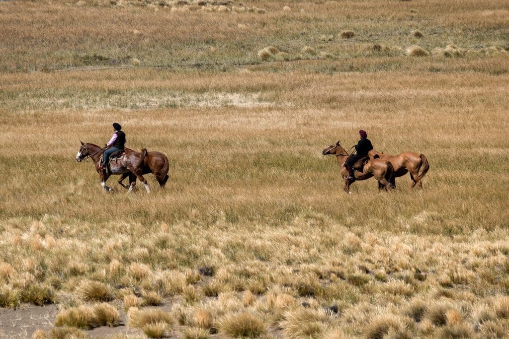 Two men on horseback riding through a valley of golden grass in Patagonia.