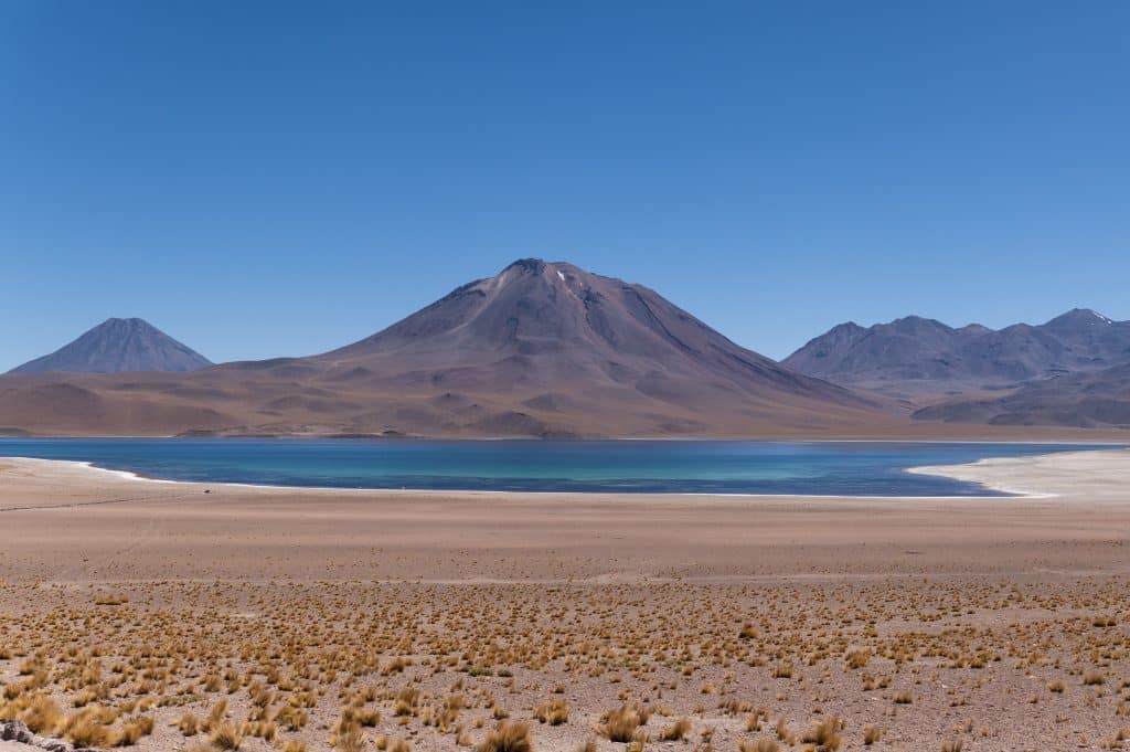 A still, bright blue lake in front of some near-purple mountains underneath a clear blue sky in the desert. Lots of small yellow brush-like flowers in the foreground.