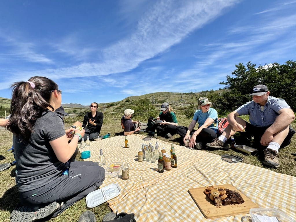 A group of people having a picnic with beers, cheese, and cookies.