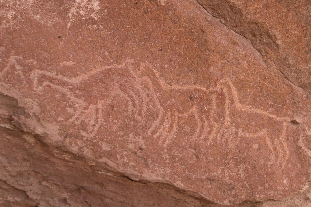 Ancient rock art -- you can see the outlines of llama-like guanacos, painted on the sandstone