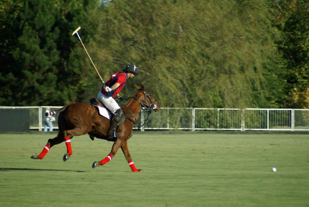 A man riding a horse with a polo mallet.