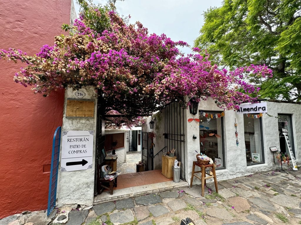 A restaurant on a cobblestone street in Colonia, Uruguay, with bright purple flowers spilling over the top.