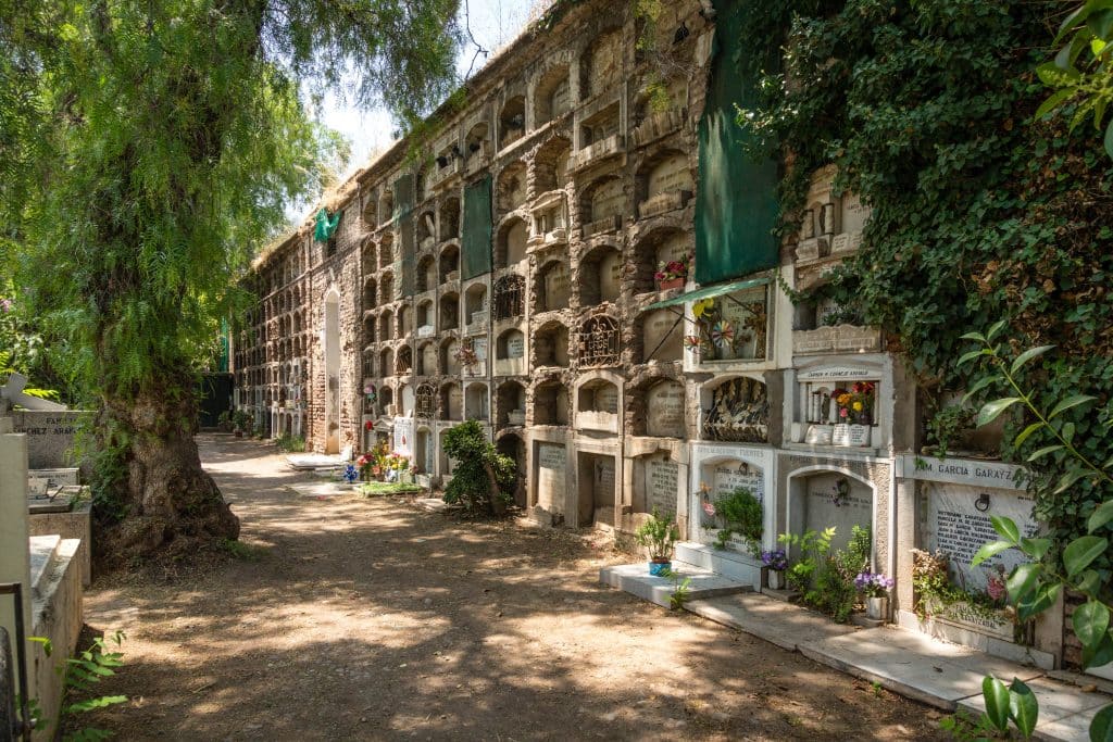 A cemetery full of tall, skyscraper-like mausoleums.